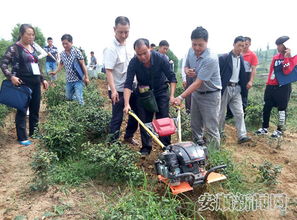 120名學(xué)員集中充電顆粒型茶葉加工技術(shù)