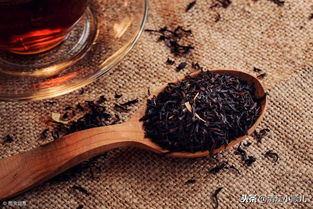 茶坯窨制花茶實(shí)用技藝——一杯香茶芬芳萬里